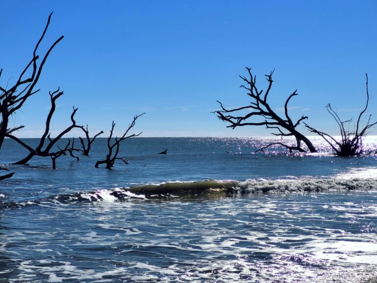 sea level rising