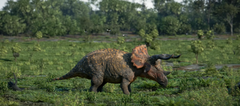 triceratops
