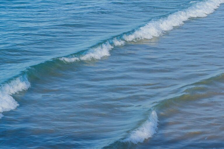 Ocean Waves