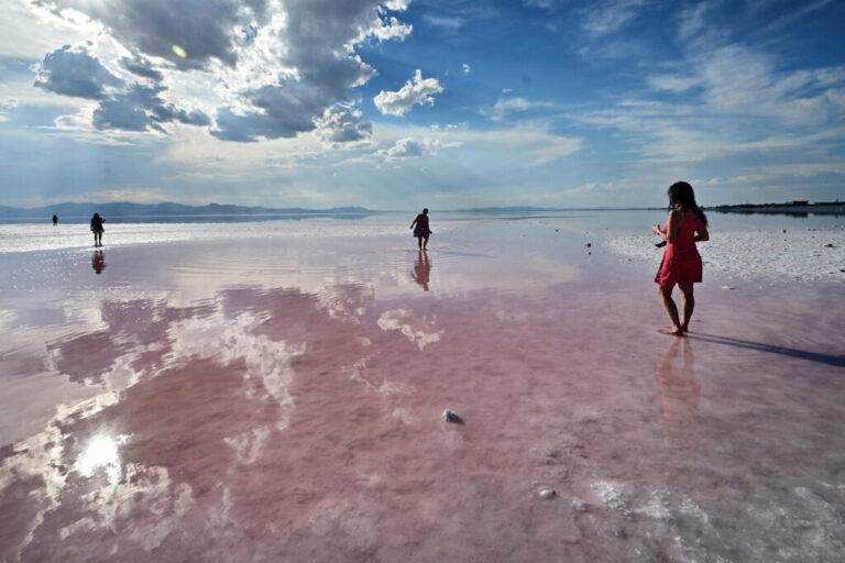 People step into the pink water near the Great Salt Lake’s Stansbury Island in Utah on Sept. 9, 2024. Credit: Frederic J. Brown/AFP via Getty Images