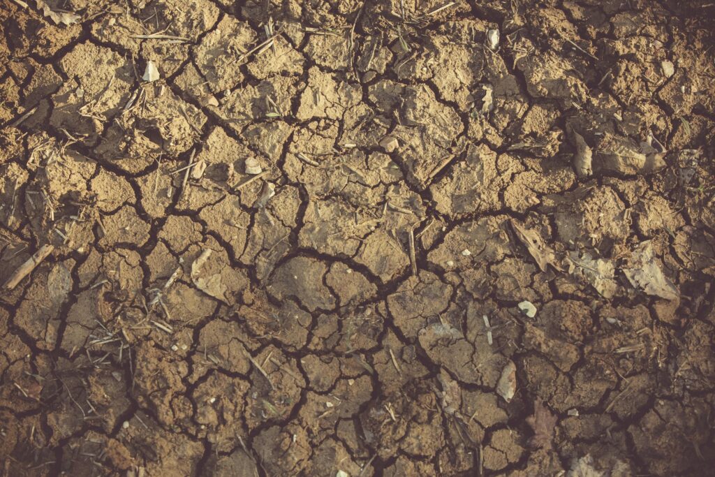 drought