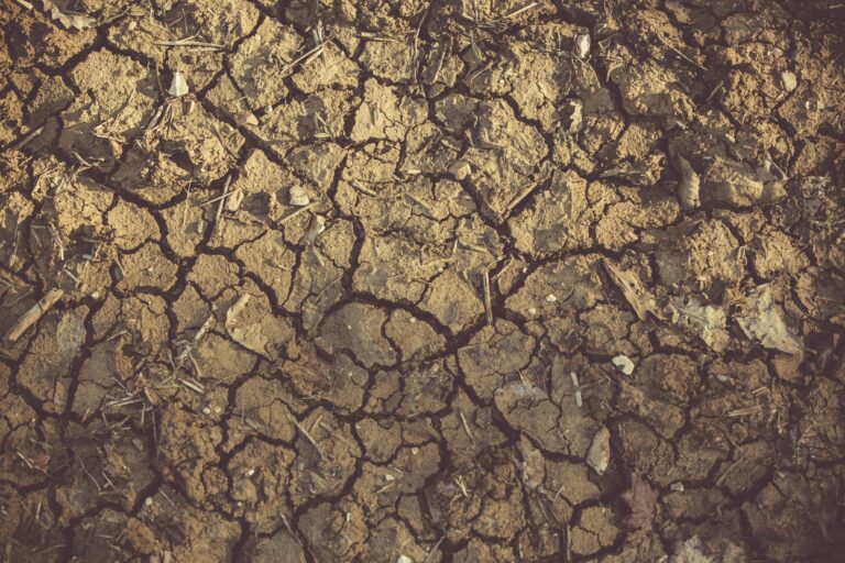drought