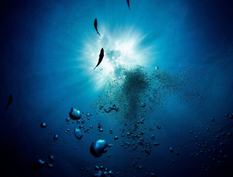 Deep Underwater View