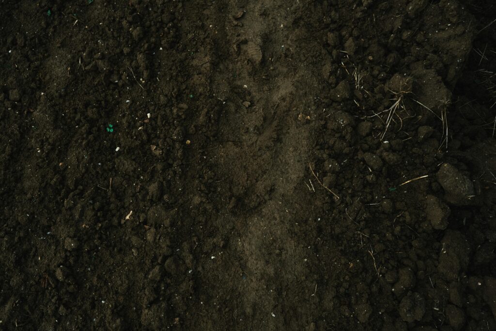 soil