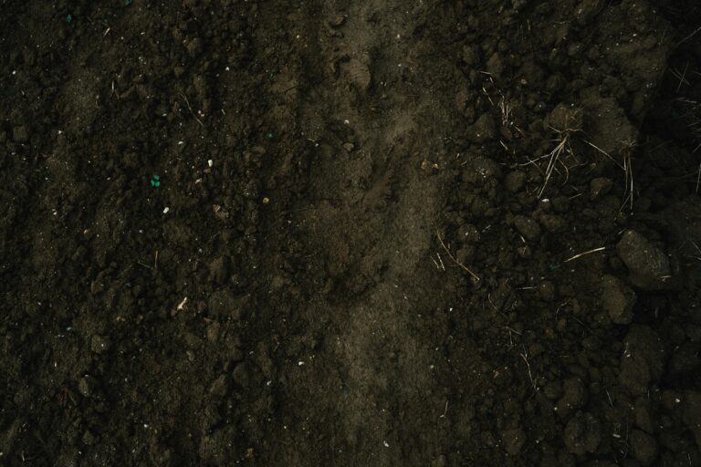 soil