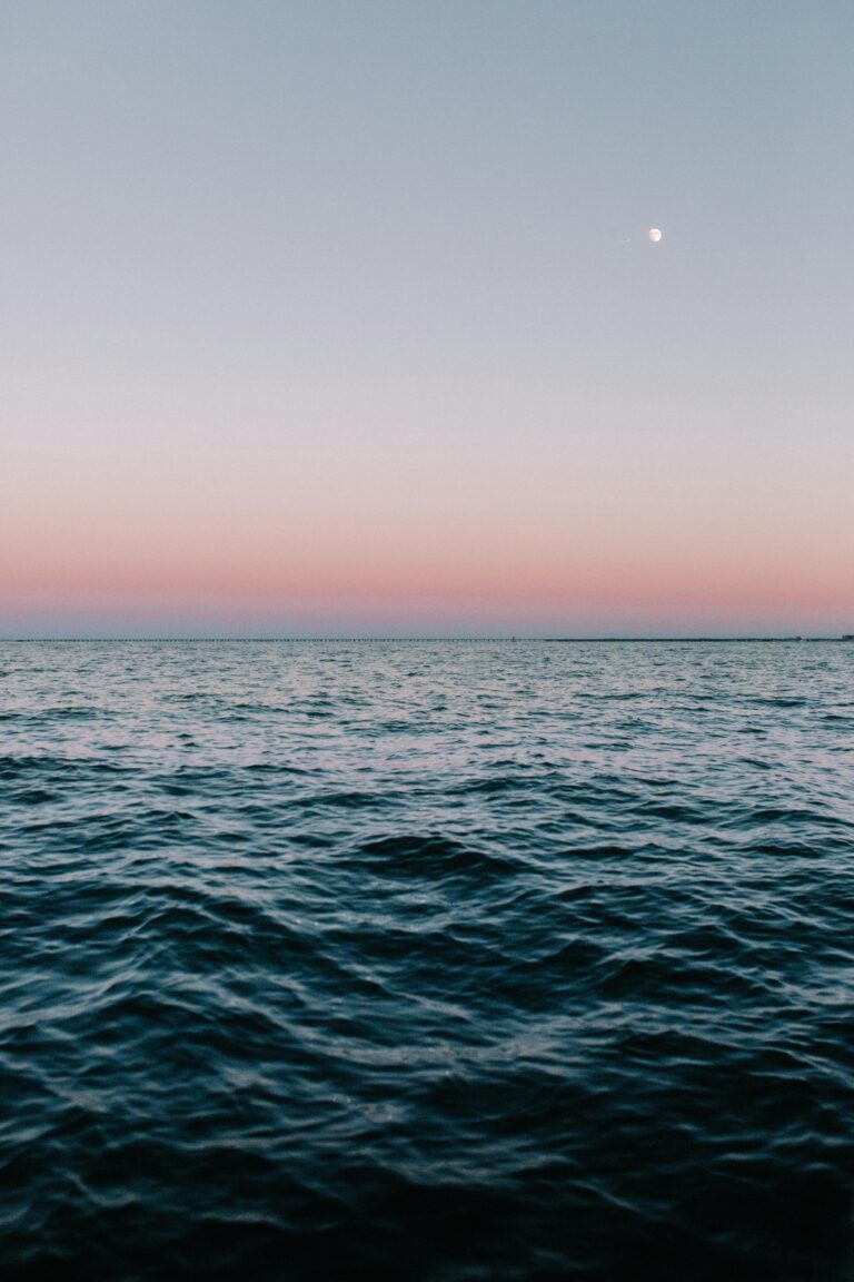 still ocean