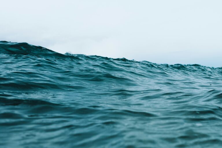 Ocean