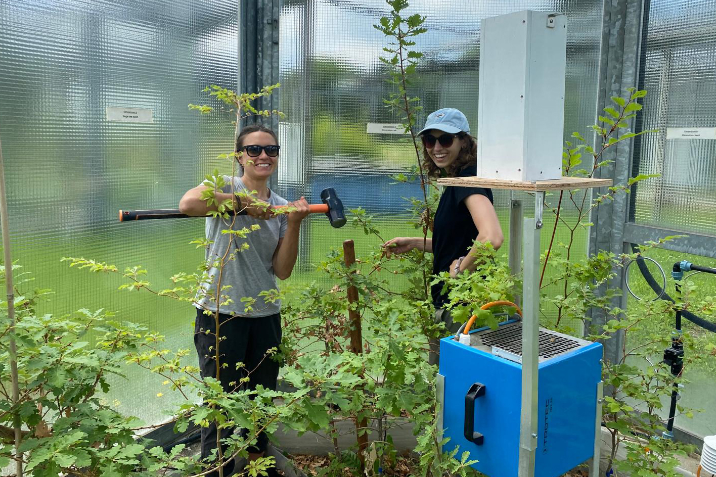Les chercheuses Arianna Milano (à gauche) et Alyssa Kullberg travaillent dans le laboratoire suisse où elles ont suivi la réaction des feuilles de hêtre et de chêne au réchauffement climatique. Crédit : Charlotte Grossiord