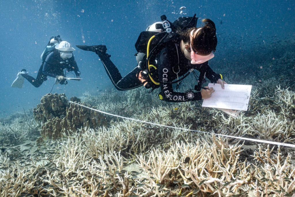 Researchers survey bleached corals around Koh Tao island in the southern Thai province of Surat Thani on June 14, 2024. Credit: Lillian Suwanrumpha/AFP via Getty Images