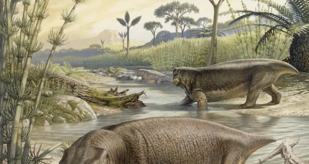 lystrosaurus