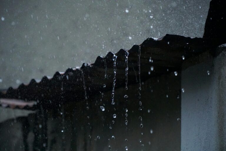 rainwater