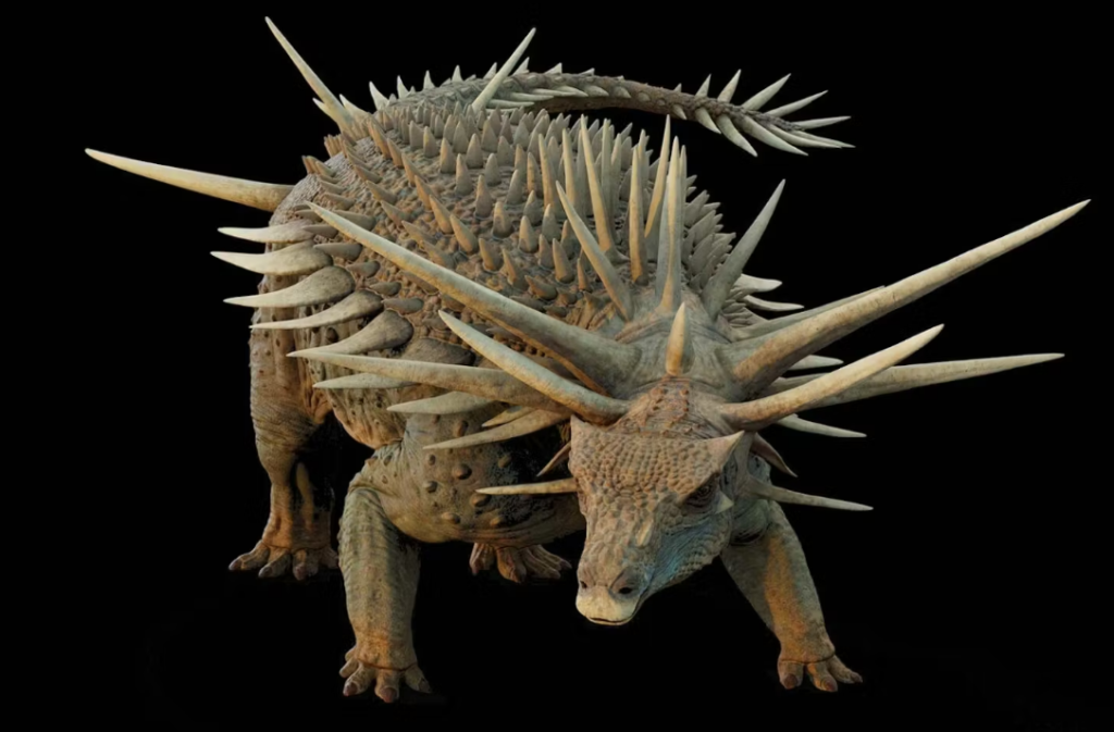 Ankylosaur
