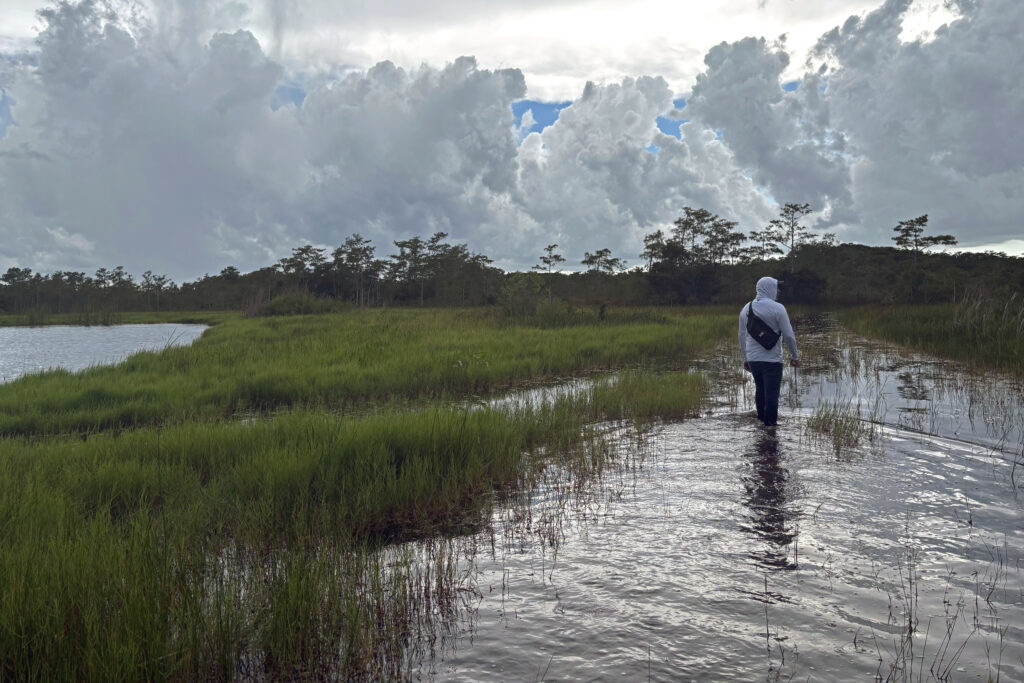 Curtis Osceola de la tribu Miccosukee traverse le marais à moins de trois kilomètres d'Alligator Alcatraz. Crédit : Amy Green/Pacte Climat
