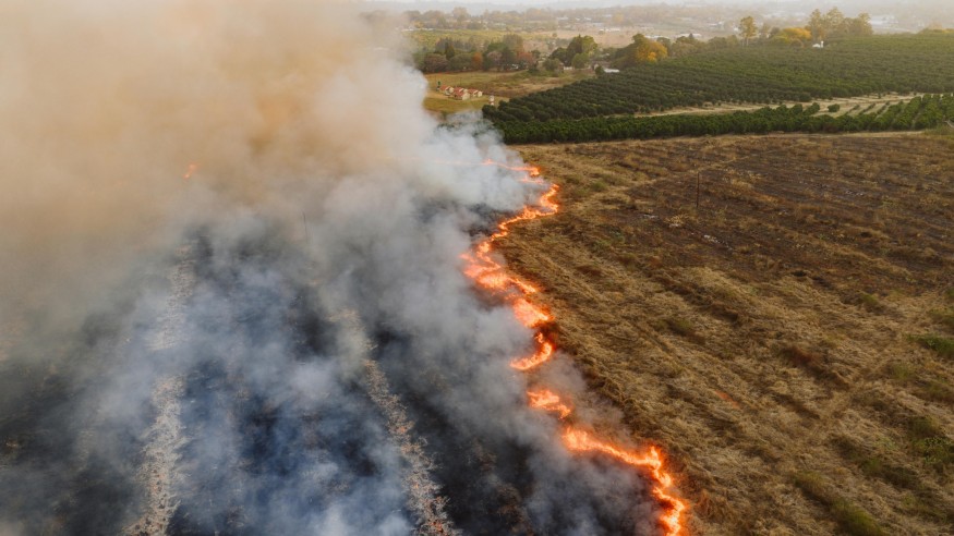 forest fire