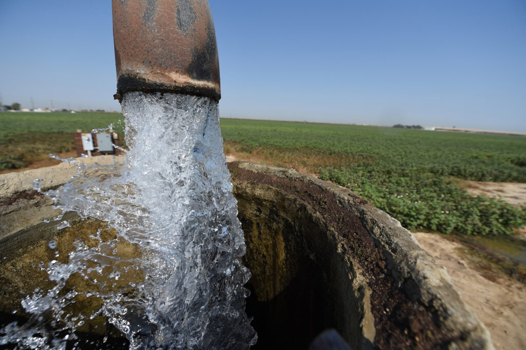 Irrigation water flows at a cotton field in Porterville, Calif. Credit: Robyn Beck/AFP via Getty Images