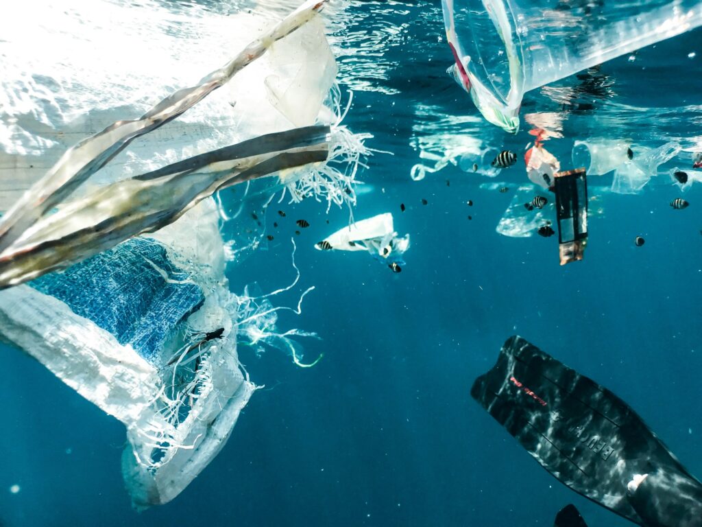 Ocean Plastic Pollution