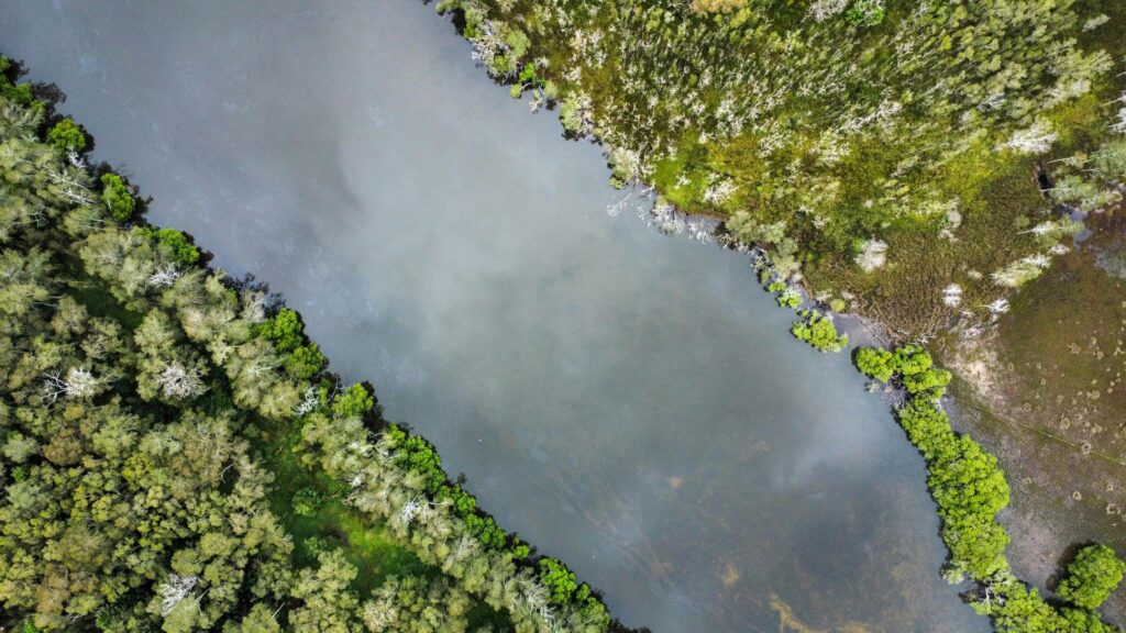 environment top view
