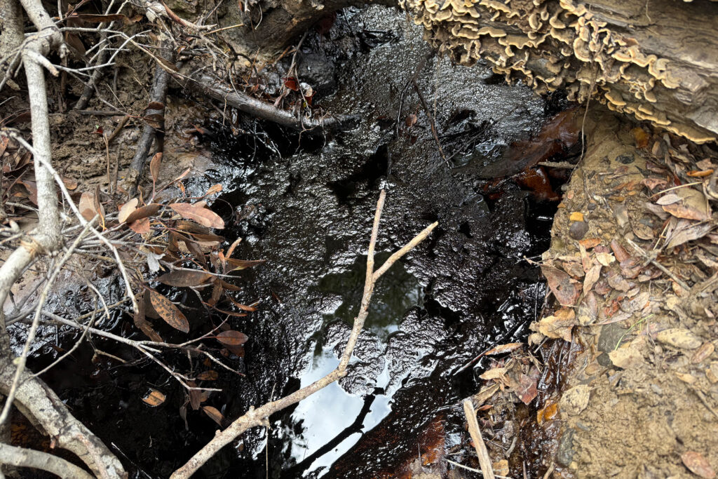 Une vue de l'eau contaminée immédiatement après la marée noire de Carbon California dans le comté de Ventura. Crédit : Avec l’aimable autorisation d’Ethan Higbee