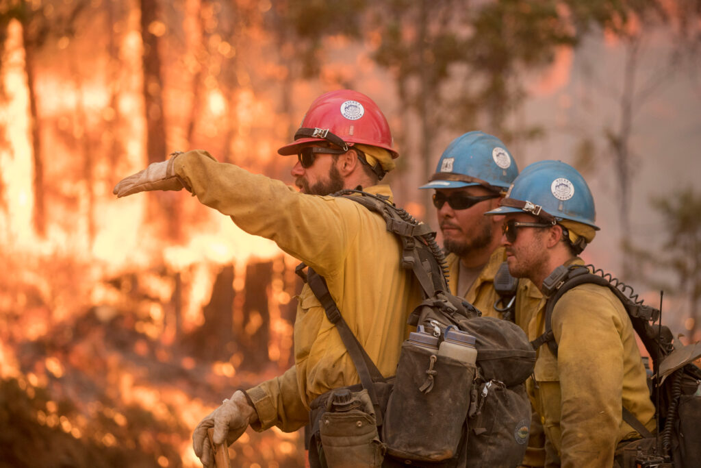 Un capitaine du Sierra Hotshots dirige les membres de l'équipage lors d'une opération de brûlage près de Jerseydale, en Californie, alors que l'incendie de Ferguson brûle dans la forêt nationale de Sierra le 22 juillet 2018. Crédit : Kari Greer/US Forest Service