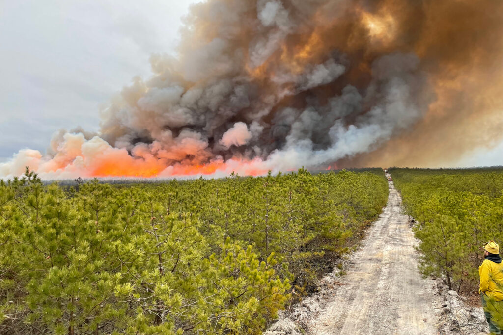 Le service des incendies de forêt du New Jersey, en coopération avec le US Fish and Wildlife Service, effectue un brûlage dirigé près de Warren Grove, dans le New Jersey. Crédit : Kevin Brown/USFWS