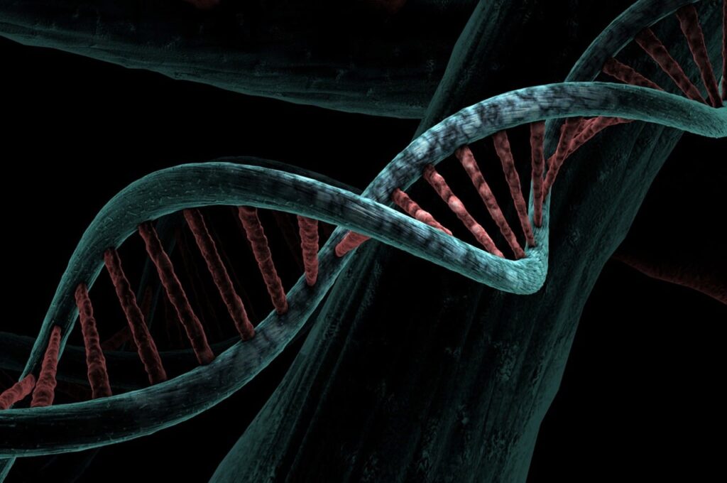 Genetics