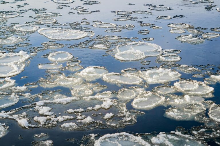 arcitc ice