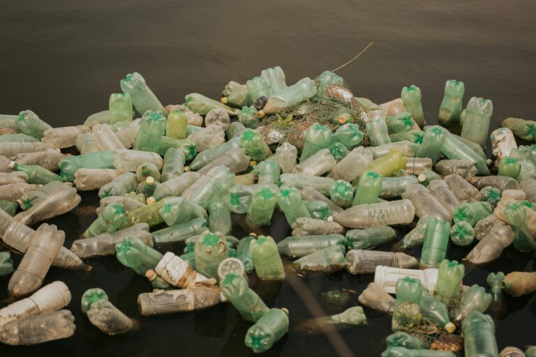 plastic bottles