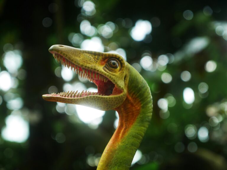 dinosaur