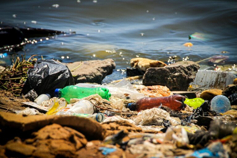 plastic waste