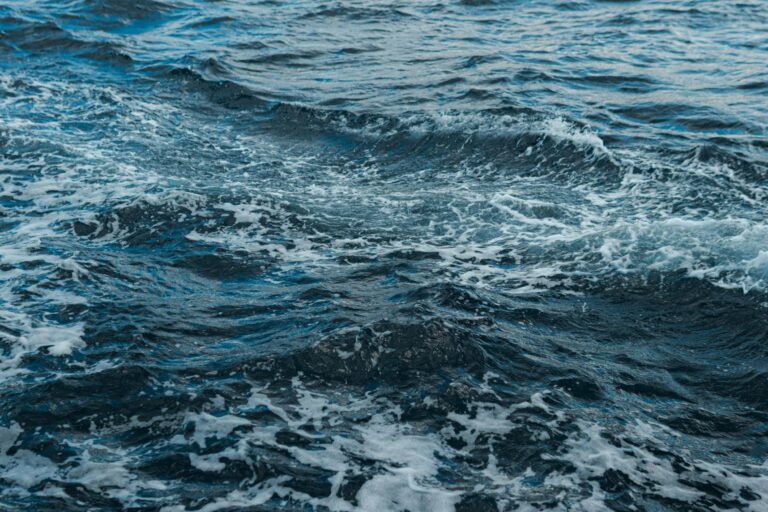 ocean