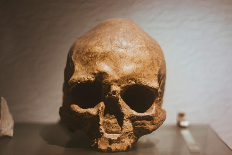skull