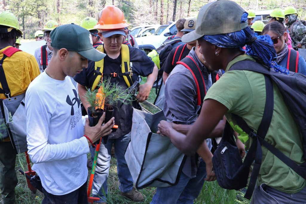 Des gens assistent à une séance de formation à la plantation pour le Centre de reforestation du Nouveau-Mexique. Crédit : Avec l’aimable autorisation de Pouli Sikelianos/NMHU