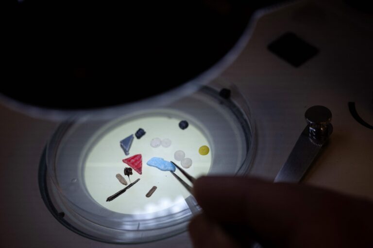 Microplastics