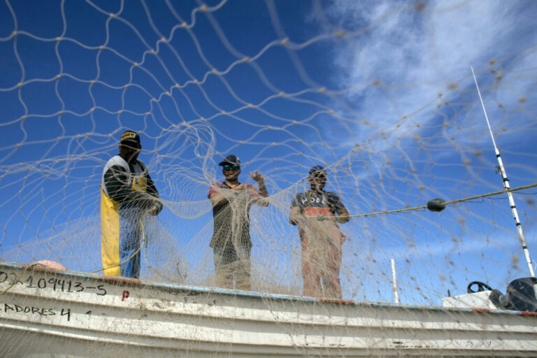 Fishermen prepare their nets in the Gulf of California near San Felipe, Mexico. Credit: Guillermo Arias/AFP via Getty Images