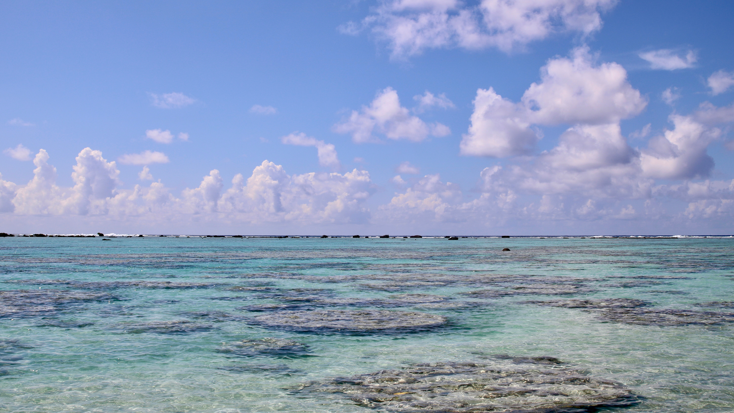 Une vue sur la barrière de corail frangeante de Moorea. Crédit : Ryan Green/Pacte Climat