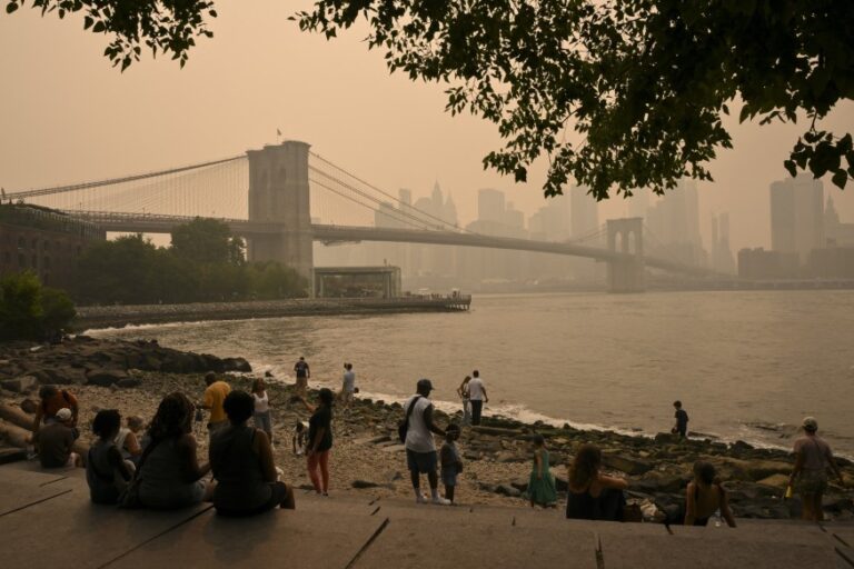 Wildfire Smoke