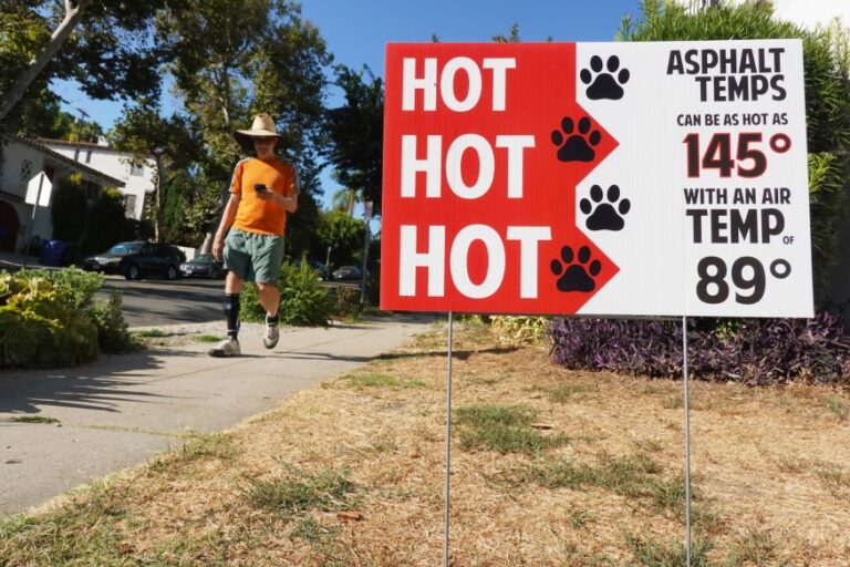Heat Waves Are Putting More Pets at Risk