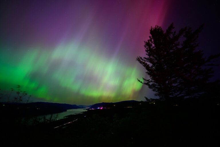 Northern Lights