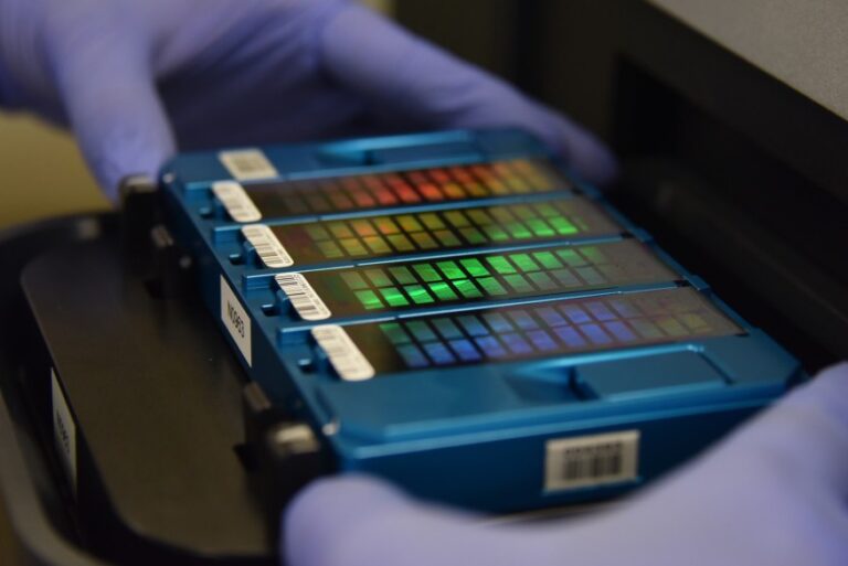 Machine Learning Model Decodes the DNA Start Signal