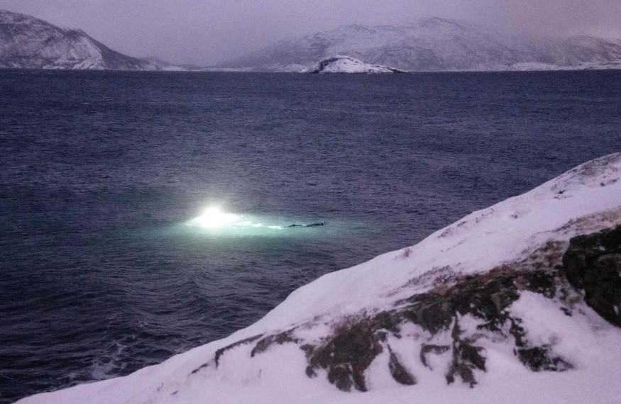 Arctic Seabed