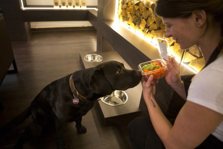 Fresh Dog Meals