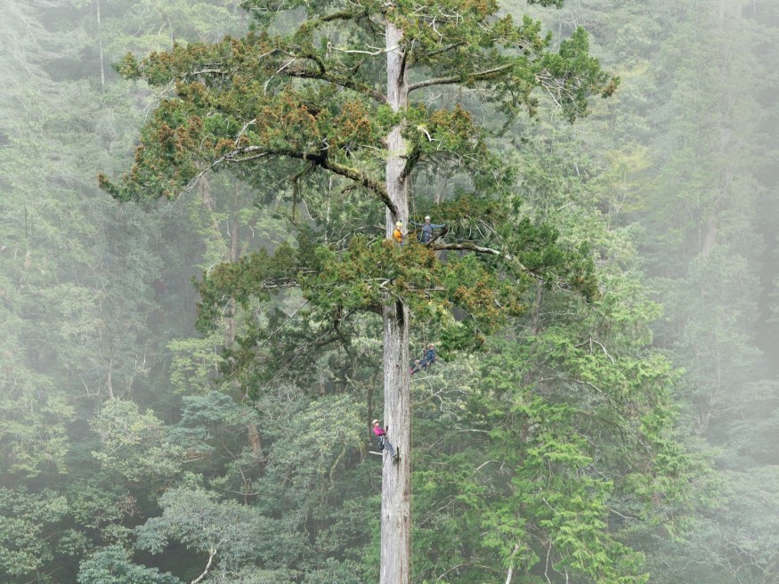 Team climbing
