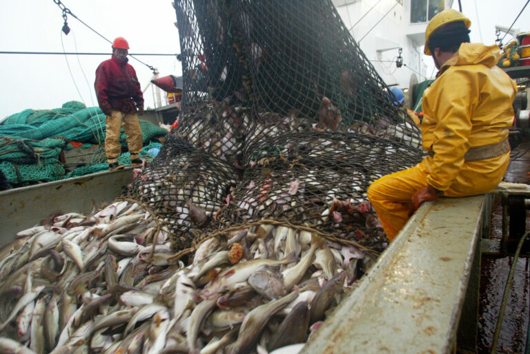 Cod Fishing