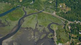 Aerial view of the Duckabush River estuary.