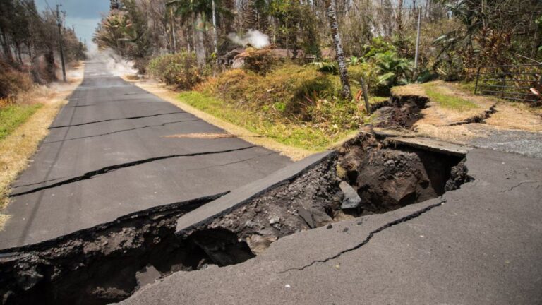 Grace Simoneau, FEMA