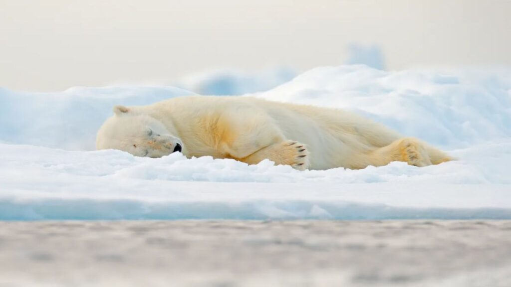 Ondrej Prosicky/Shutterstock
